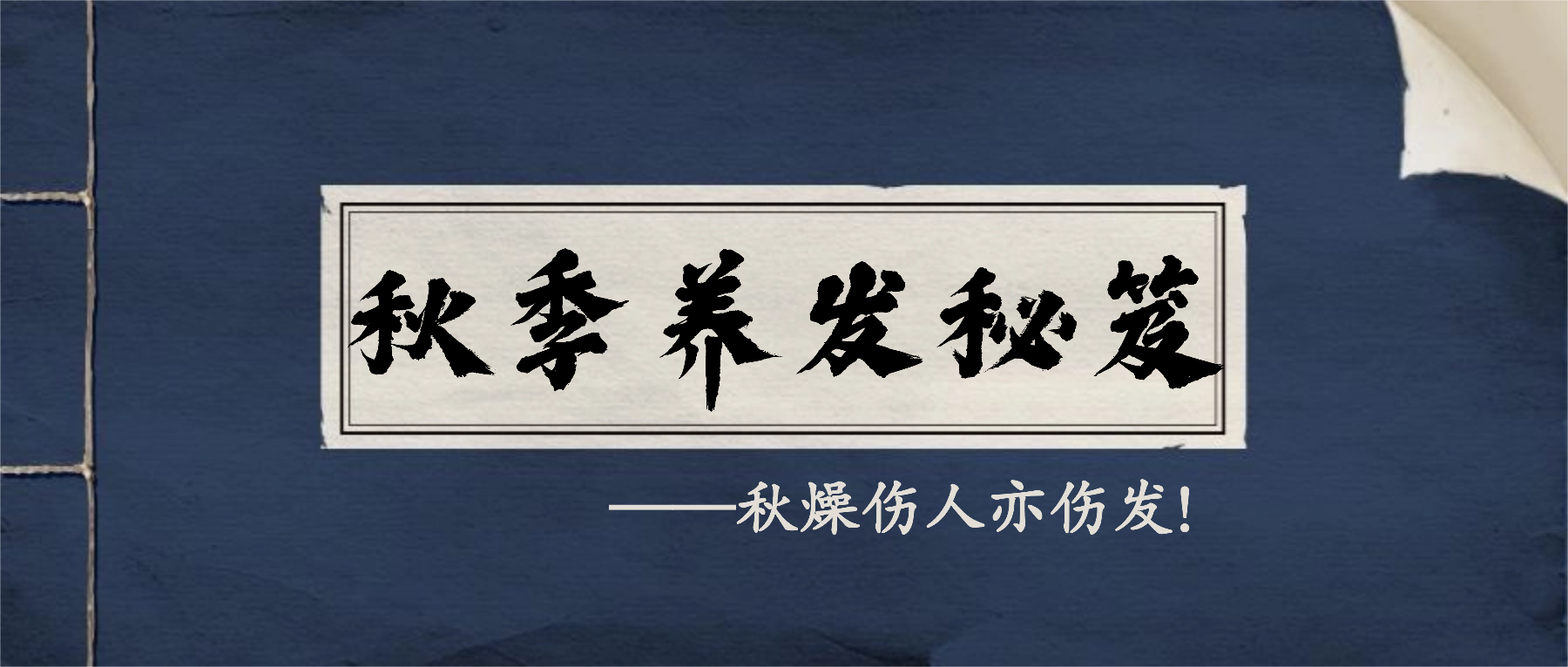 一份专属秋季的头皮养护秘籍请查收